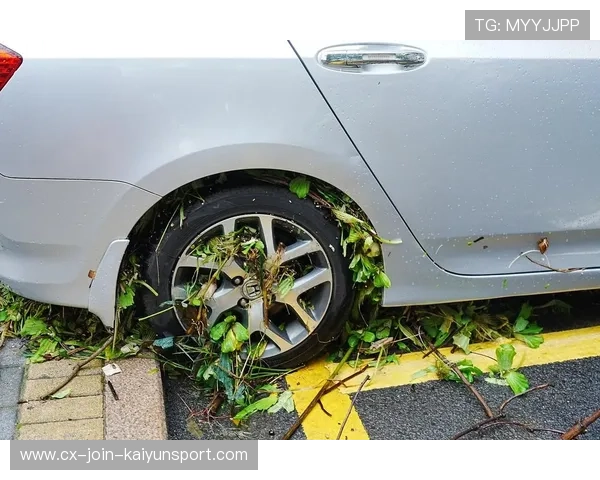 赛车爆胎喷火惊险瞬间:极速狂飙中的生死瞬间 赛车爆胎喷火惊险瞬间:极速狂飙中的生死瞬间